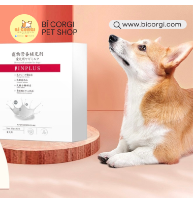 Sữa dạng bột cho chó cung cấp dinh dưỡng JJJIN PLUS