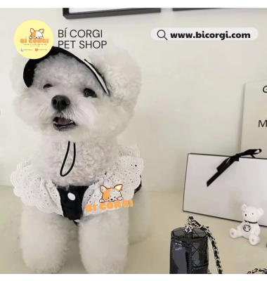 Váy đen viền cổ trắng cho chó mèo