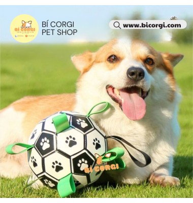 Đồ chơi bóng đá cho chó