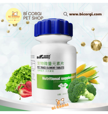 VITAMIN tổng hợp cho chó mèo Borammy 180 viên