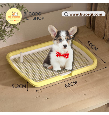 Khay vệ sinh cho chó size lớn có cột - Khay hướng dẫn cún đi vệ sinh