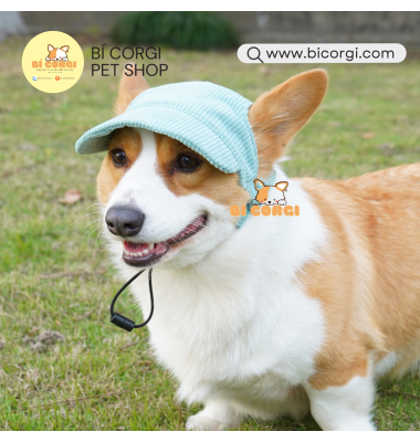 Nón bóng chày cho chó mèo có quay đeo