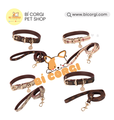 Vòng cổ kèm dây xích cho chó mèo LUXURY, SANG CHẢNH