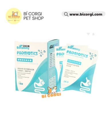 Men tiêu hóa chống tiêu chảy cấp tốc, men vi sinh thúc đẩy sự thèm ăn cho chó mèo Borammy Probiotics 5g